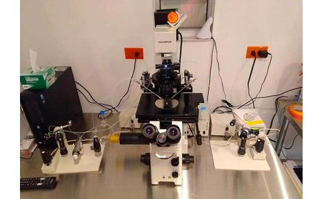 Slider image (4) DR CIGUENA FERTILITY CENTER